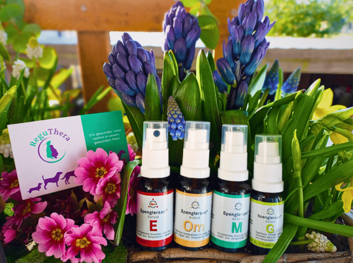 Spenglersan-Kolloide für die naturheilkundliche Behandlung bei Hunden und Katzen